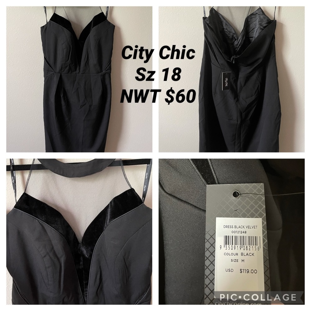 City Chic NWT